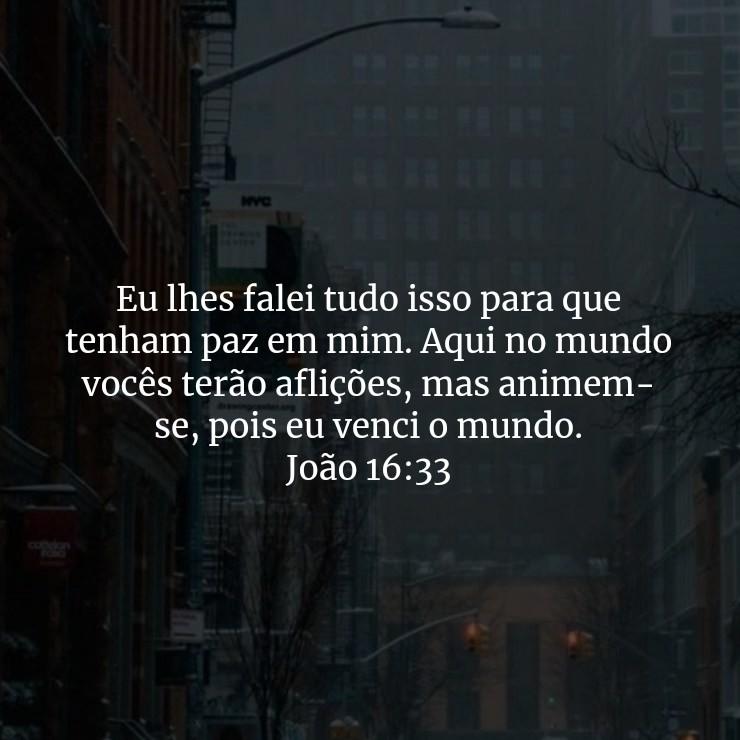 Eu lhes falei tudo isso para que tenham paz em mim. Aqui no mundo vocês terão aflições, mas animem-se, pois eu venci o mundo.

João 16:33