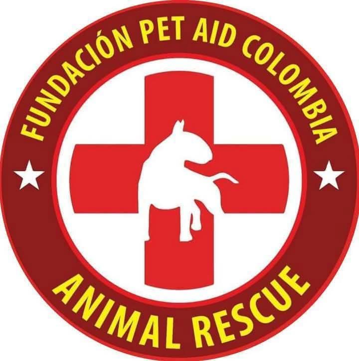 Gunter Kook tweet media