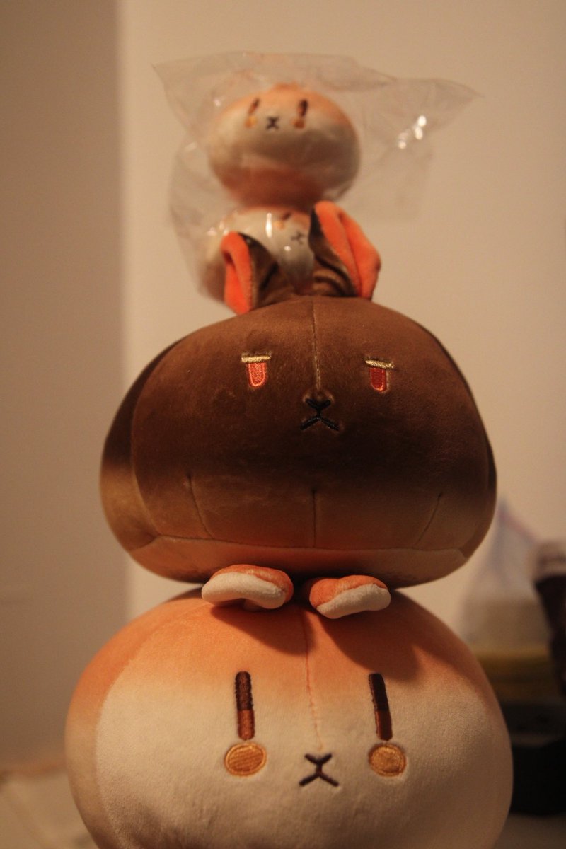 so happy about the merch I bought from <a href="/rosuuri/">Rosuuri🐰1/28~2/10 大阪個展 (Solo Exhibit in Osaka)</a> at AnimeNYC!! It was so nice meeting in person and getting my OG rosubun a full family

ASTREA SUPREMACY I LOVE HER SO MUCH SHES ASTRONOMICAL 😭😭

#rosumerch