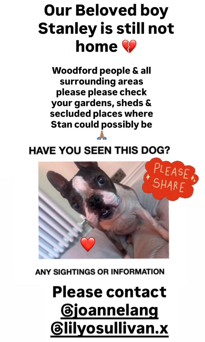 Missing Pets GB tweet media