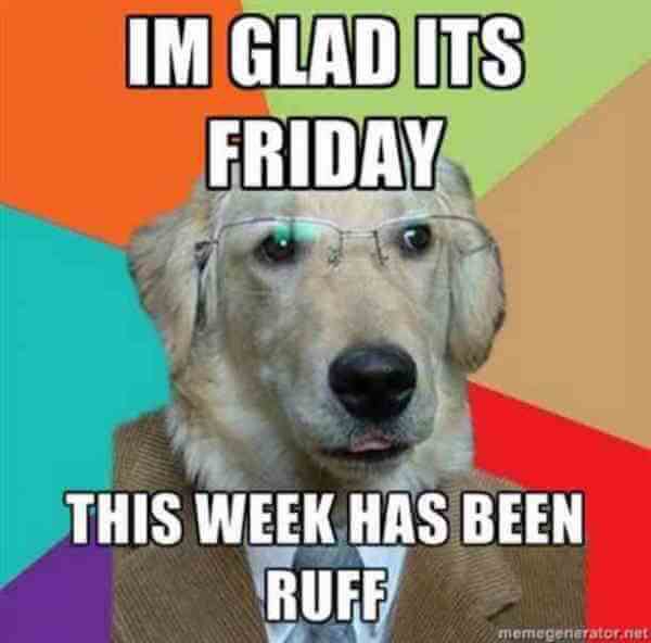 hi everybody the weekend is here