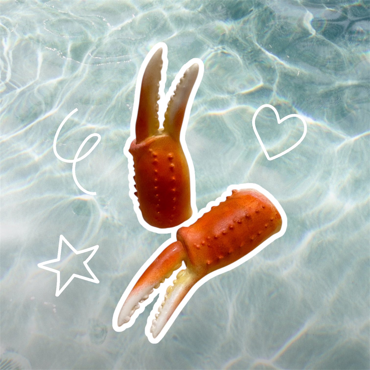 猫ガニみー hq720.jpg?sqp=-