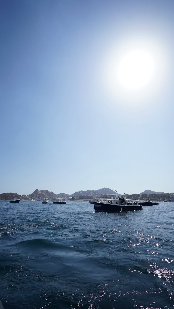 BentoBoi tweet media