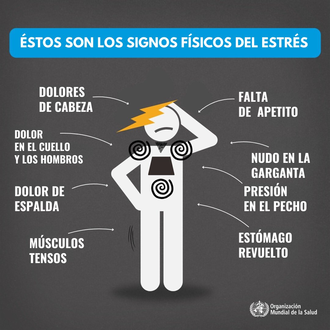 El estrés puede afectar gravemente tu salud:

❤️‍🩹 Dolores de cabeza
❤️‍🩹 Dolor de cuello y hombros
❤️‍🩹 Pérdida de apetito
❤️‍🩹 Dolor de espalda
❤️‍🩹 Opresión en el pecho
❤️‍🩹 Tensión muscular
❤️‍🩹 Malestar estomacal

La salud mental es salud y debe ser una prioridad.
Dale 💙 🔁 si estás de