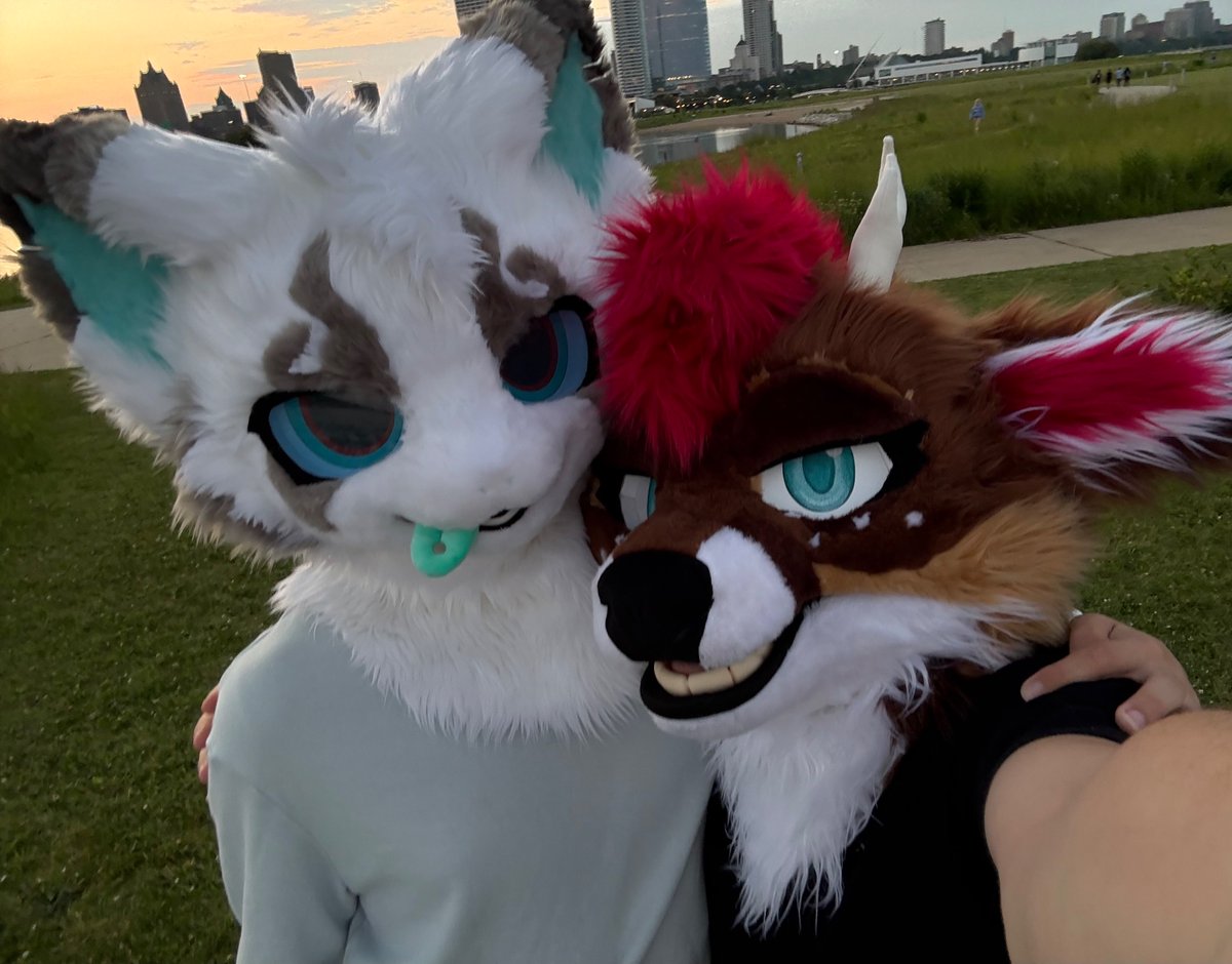 #FursuitFriday featuring <a href="/ooMil0/">Milo</a> 😸