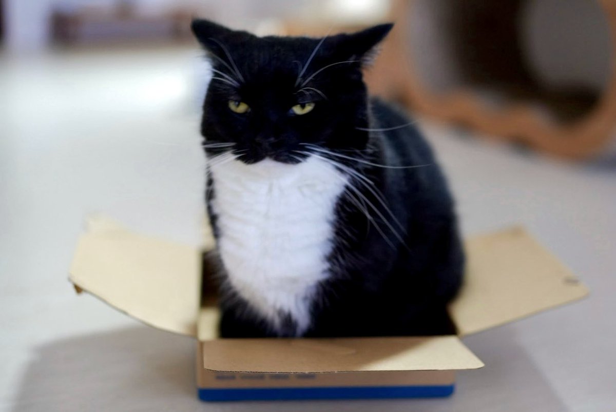 unicouniuni3's tweet photo. This box is too small… https://t.co/MXXa9IPZbh