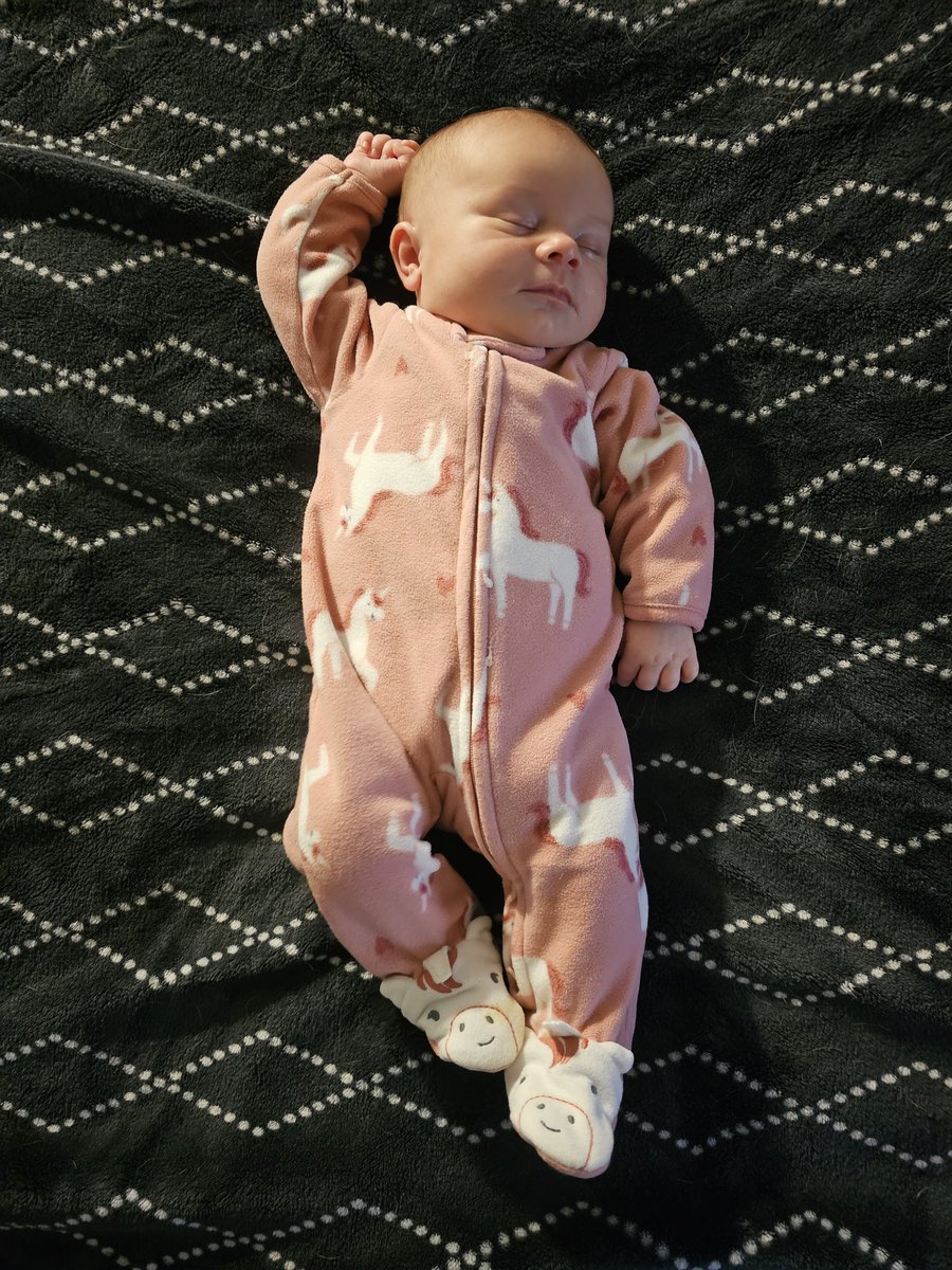 🅱️ernE tweet media