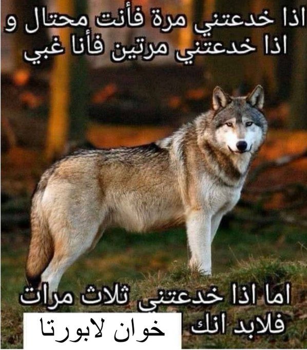Mohamed (@xd64__) on Twitter photo 