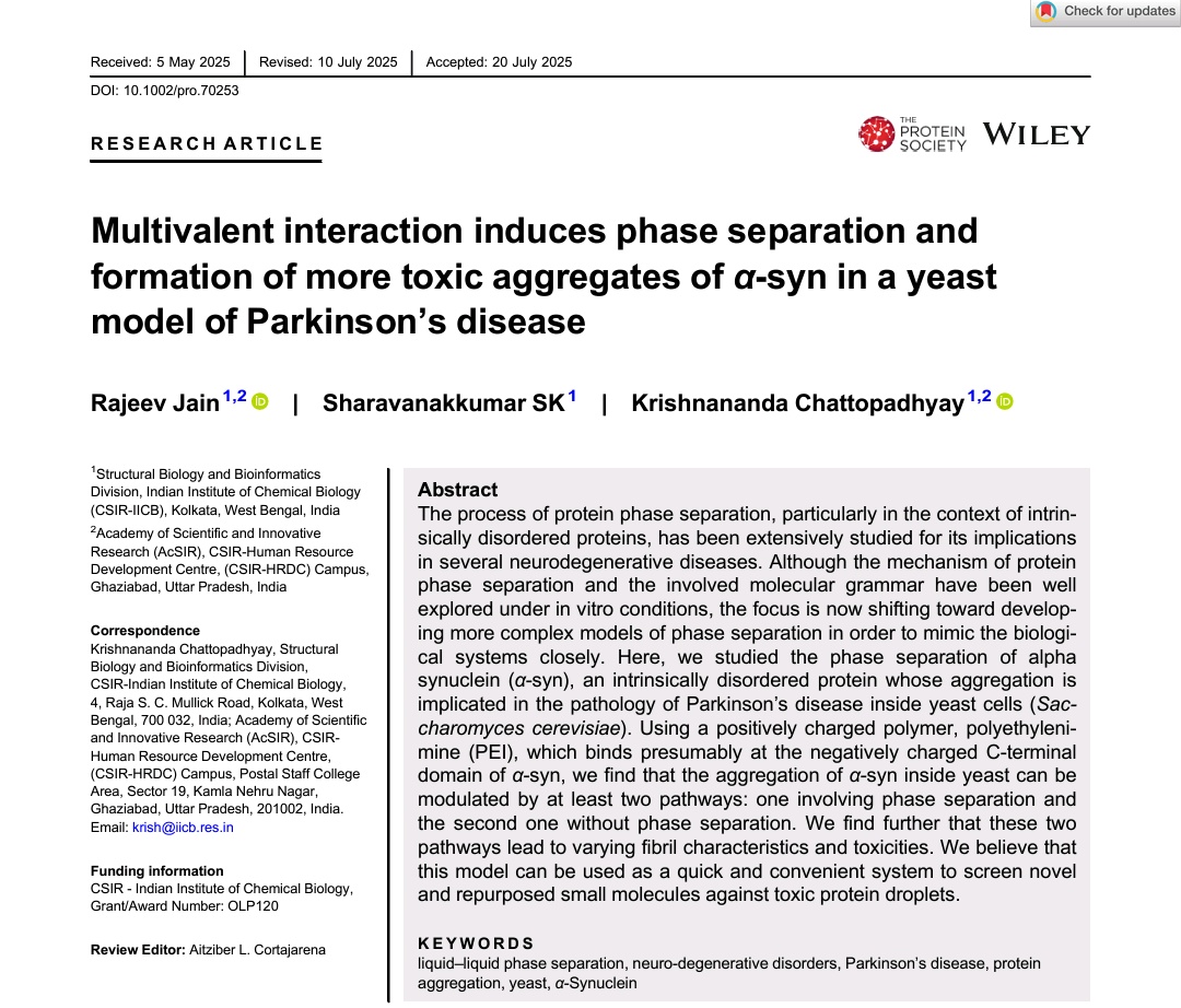 RAJEEV JAIN (@rajeev__jain) on Twitter photo New research article published as 1st author in flagship journal <a href="/ProteinSociety/">proteinsociety</a> <a href="/WileyGlobal/">Wiley</a> where we have established a model of #alphasynuclein #LLPS in #yeast Special acknowledgement to <a href="/KumarsharavanaS/">Sharavanakkumar SK</a>. <a href="/Krishnanandac/">Krishnananda Chattopadhyay</a> <a href="/CSIR_IND/">CSIR, India</a> <a href="/AcSIR_India/">AcSIR</a> <a href="/csir_iicb/">CSIR-IICB</a> doi.org/10.1002/pro.70… New research article published as 1st author in flagship journal <a href="/ProteinSociety/">proteinsociety</a> <a href="/WileyGlobal/">Wiley</a> where we have established a model of #alphasynuclein #LLPS in #yeast Special acknowledgement to <a href="/KumarsharavanaS/">Sharavanakkumar SK</a>. <a href="/Krishnanandac/">Krishnananda Chattopadhyay</a> <a href="/CSIR_IND/">CSIR, India</a> <a href="/AcSIR_India/">AcSIR</a> <a href="/csir_iicb/">CSIR-IICB</a> doi.org/10.1002/pro.70…