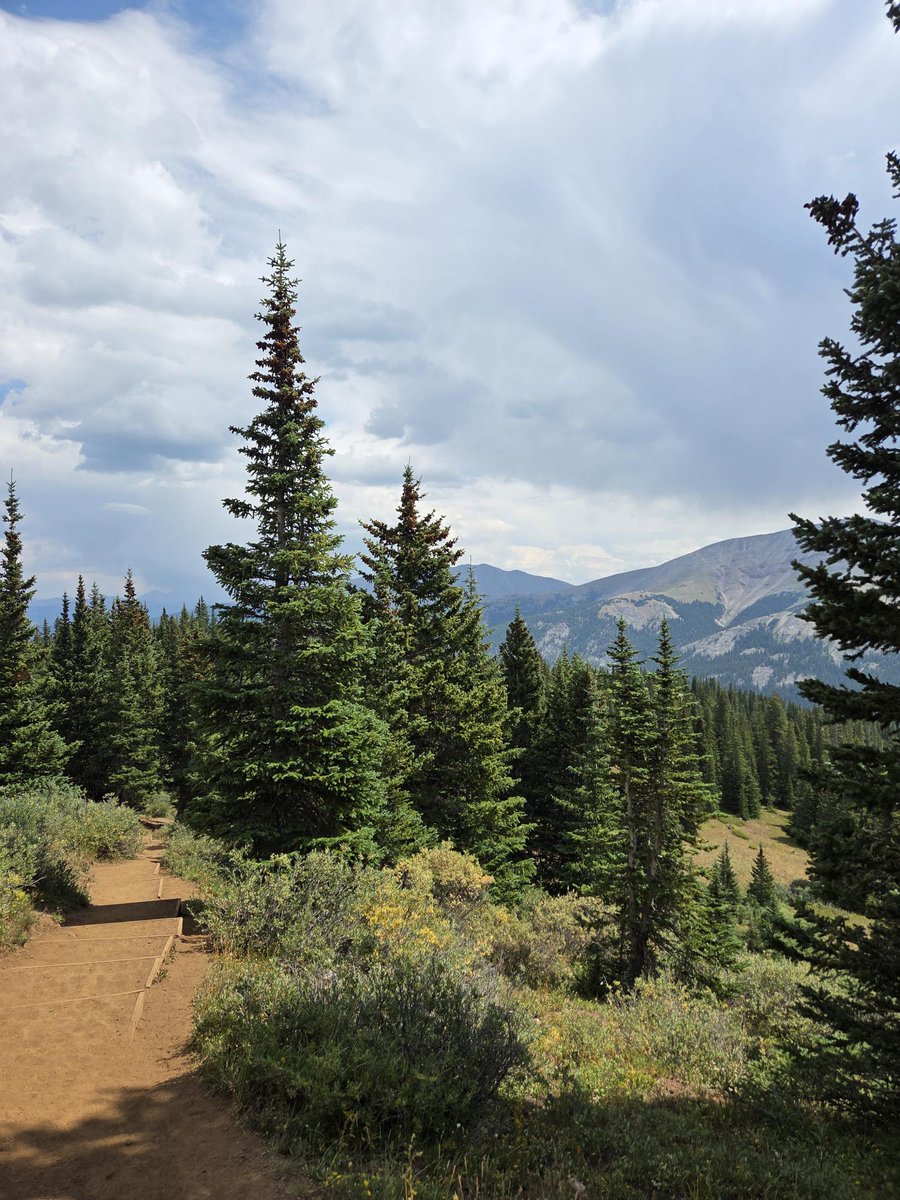 Firefly Autism tweet media