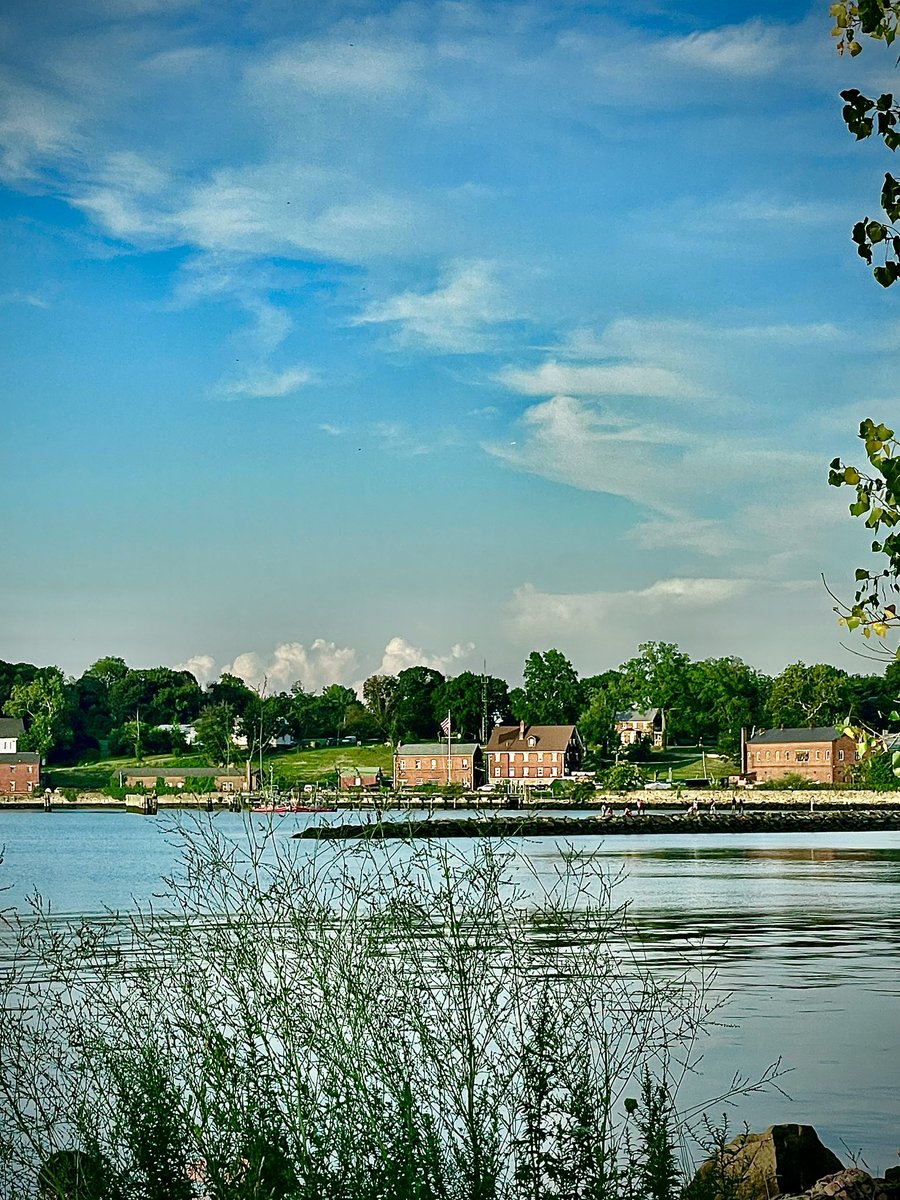 미국은 오늘이 8/15 광복절이예요 🇰🇷

누욕 동네에는 무궁화 우리나라 꽃이 엄청 많답니다. 무궁화는 영어 rose of sharon이라고 한데요. 제가 대학교때 인파선이 붓고 폐에 물이차서 대학병원에 입원한 적이 있었어요. 오빠는 큰 바늘과 드릴로 의사가 폐쪽에 물을 빼내는 모습에 울고 엄마는 저의