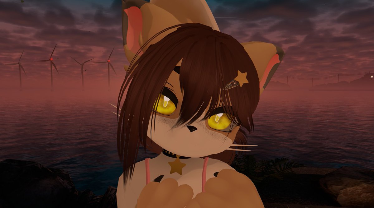Mírame así y dime que no me darías mimitos… te reto 😼💛
#Furry #Vtuber #VRChat