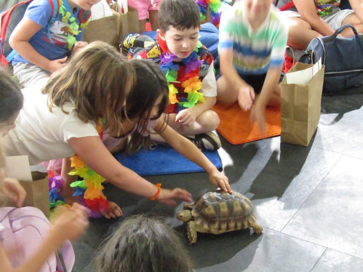 kidsmuseum's tweet image. 🎉🐍 Final day of STEAM Camp = nonstop fun! Campers made water bottle seascapes, crafted art from a mystery bag of items, enjoyed outdoor &amp;amp; exhibit play, cooled off with 🍦, and met reptiles with Binx the Reptile Guy! 🦎 #STEAMCamp #KidsInArt #binx
#SummerCamp #creativekids