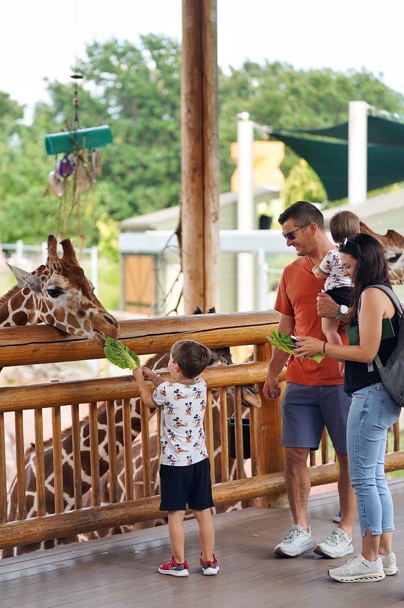 LifeAtHudl tweet media