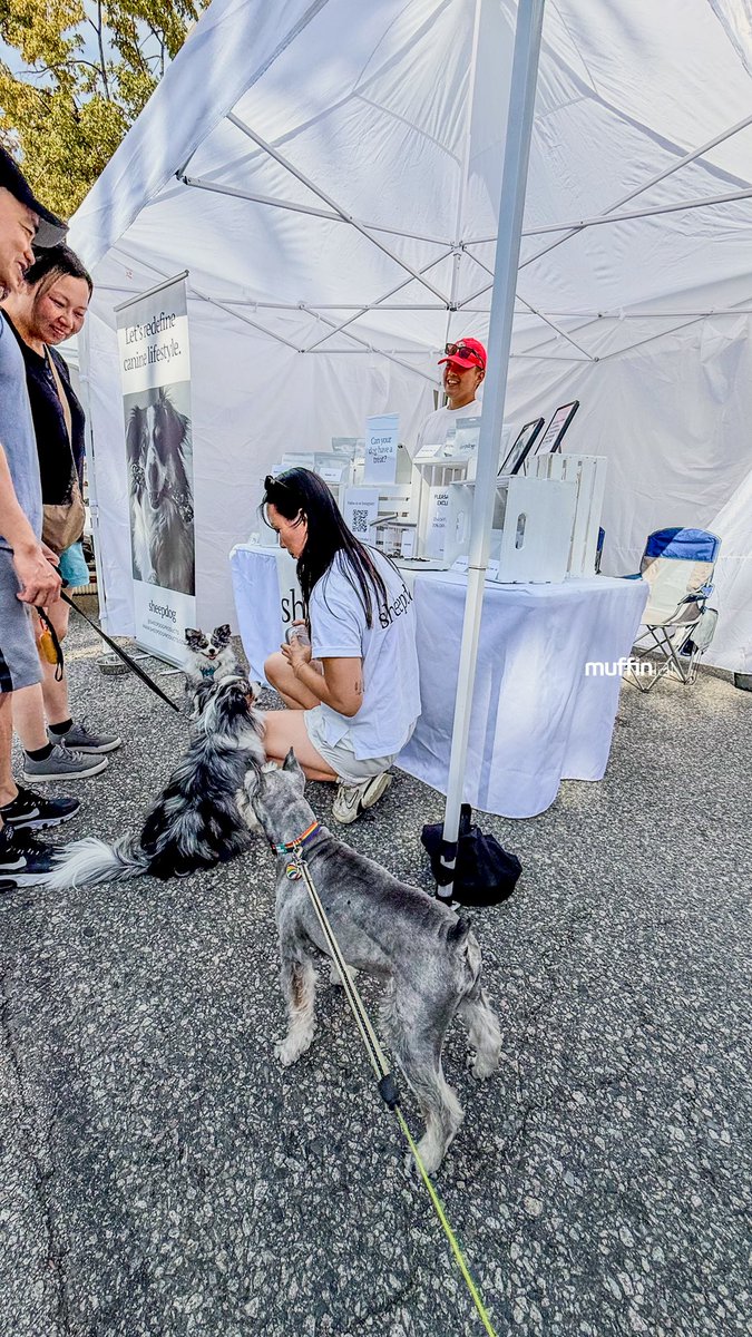#FlashbackFriday 🐟 Taking you back to last Saturday’s #PleasantDayFestival on #MainStreet. 🌧️ Even though it’s pouring rain in #Vancouver today (definitely a no-beach day!), let’s reminisce about sunnier times, more importantly, tasty treats! @sheepdogproducts #SheepdogProducts