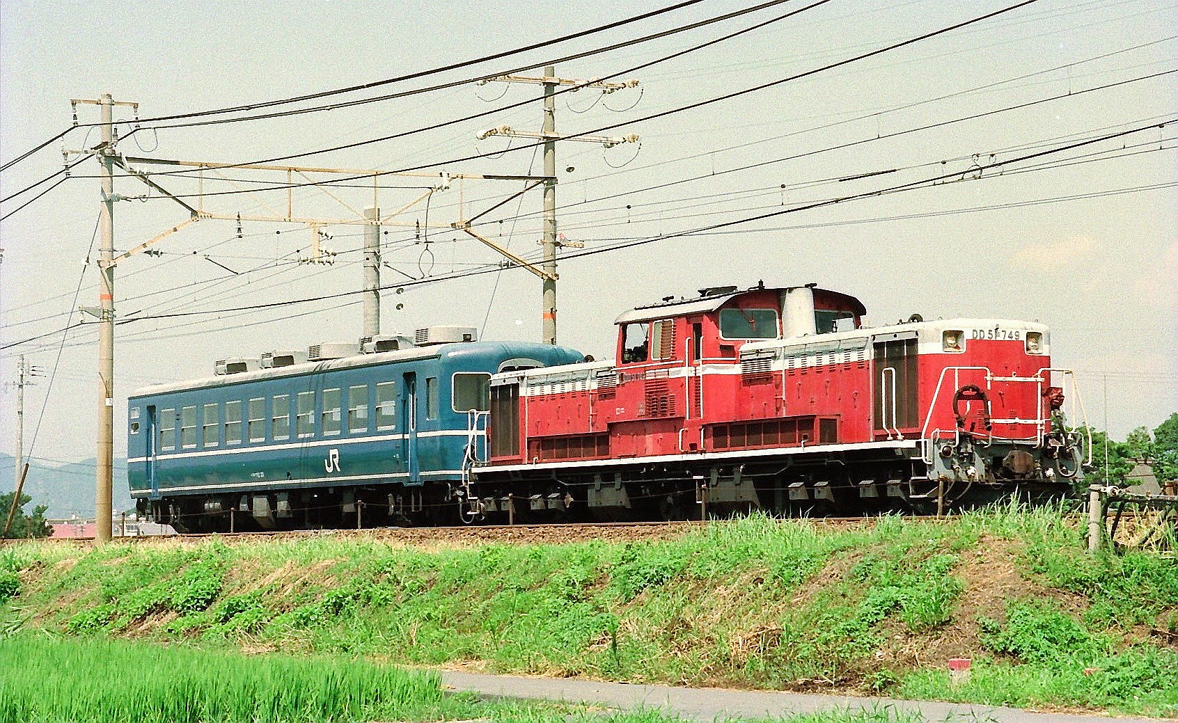 こごみ （道東産） N）E231系1000番台 東海道線（更新車）