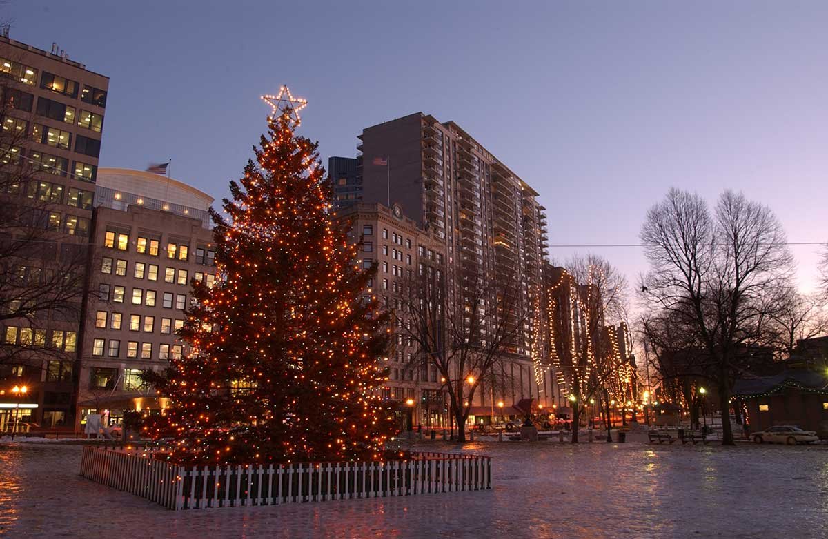 Will Parker 🇨🇦 AKA Capt Wrecked tweet media