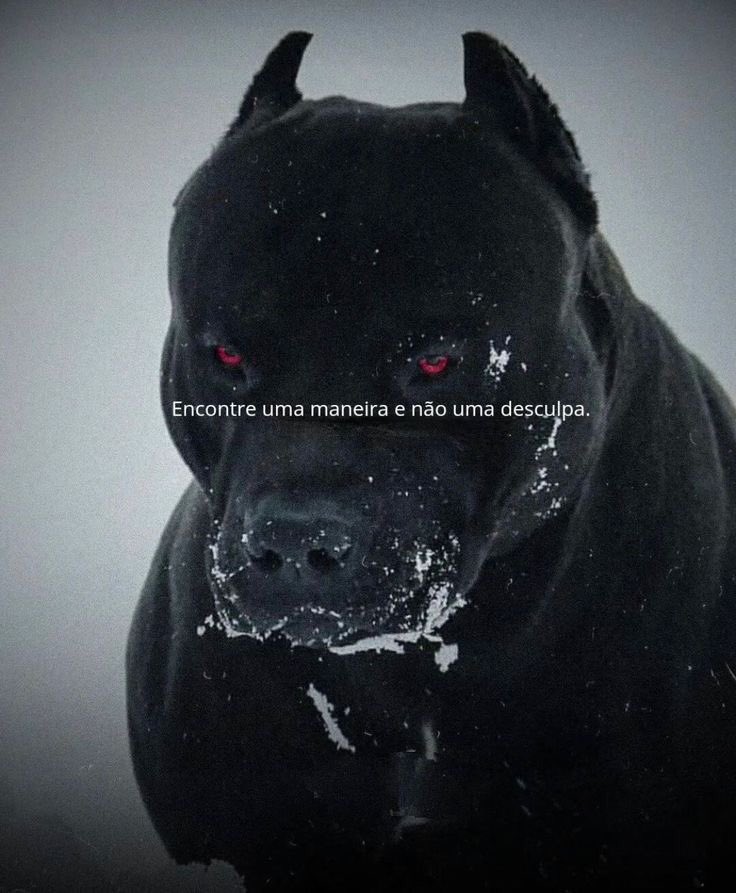 Resolva seus problemas.