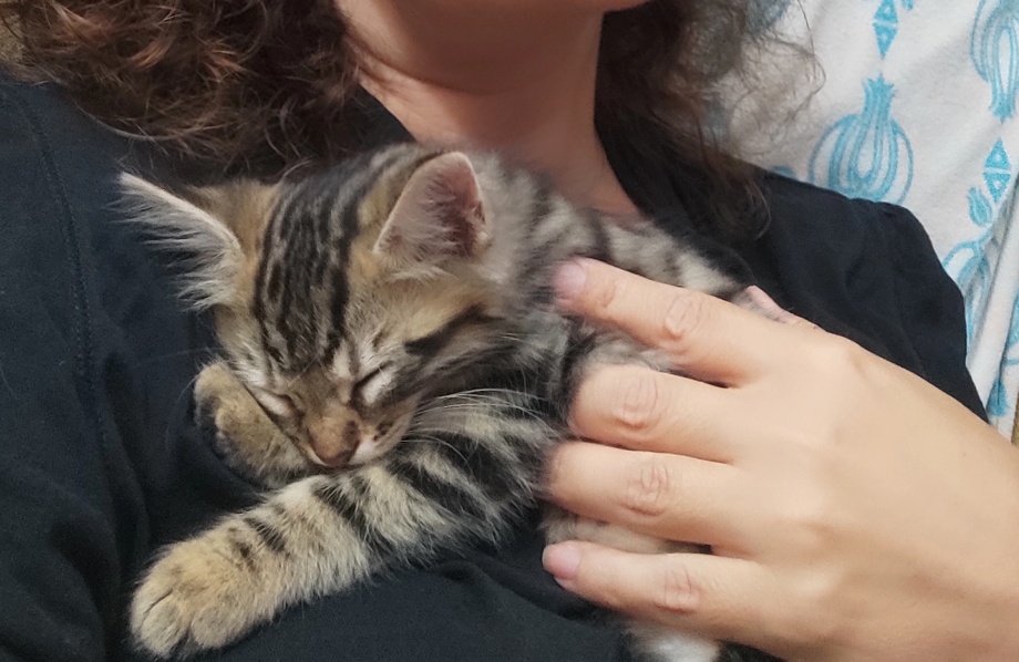 ozlem3439's tweet photo. @DailyToraman 🥰 https://t.co/BdQAb7s9mO