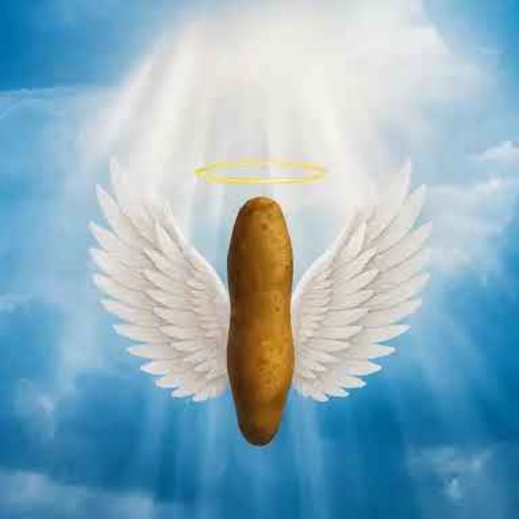 The Heavenly Barbell looking good here

BFN28GbTTB6EZT3dnbdV4cuURAsUgB3i7K822CShL777

BMh38ofa8FnZ8s3zr2W15bRBVoxmxkV98qqaLm19y777

Earlee