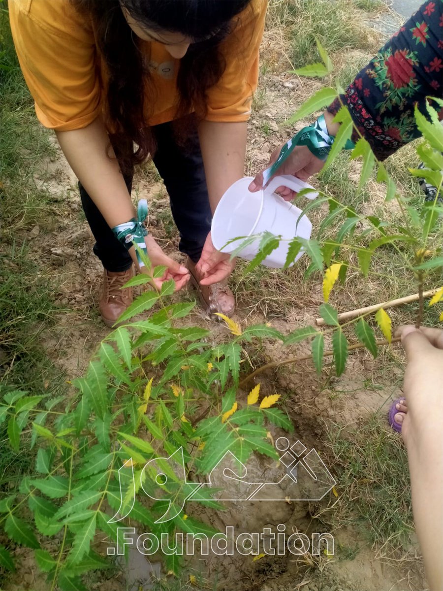 shaourfdn's tweet photo. 🌱 Plant Today, Breathe Tomorrow 🌱
Every tree we plant is a promise — a promise of cleaner air, cooler cities, and a greener Pakistan.
Grateful to our amazing Shaour Foundation Go Green volunteers for turning hope into action, one sapling at a time. 💚🇵🇰
#GoGreenWithShaour https://t.co/ag0oW3eCG7
