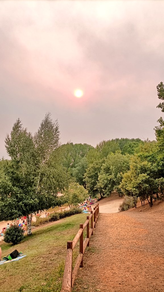 Así hemos pasado en la Carballeda, entre humo y cenizas 🔥🔥🔥

#ZamoraArde
#ifcastromil