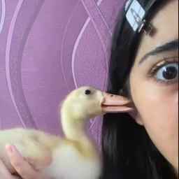 "Solana to 120$ in one week"