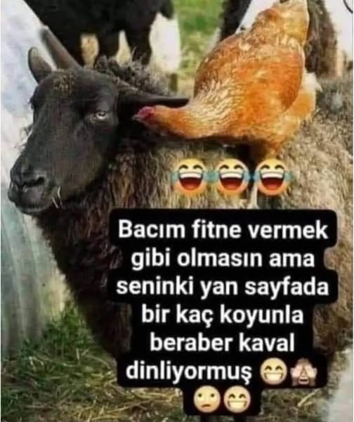 👇😂👇