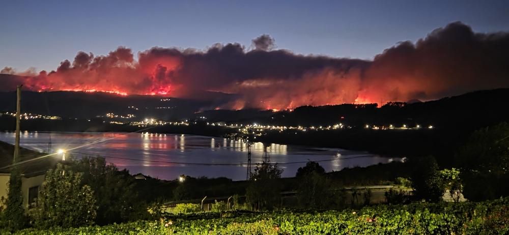 🔥 Lumes tamén na zona do Ribeiro. Enorme fronte de lapas en Carballeda de Avia. Así se ve dende Castrelo de Miño. Imaxe de Marilú.

Gustaríame poder falar do tempo e non disto, pero e que a nosa terra estase queimando, é desolador. Hai que dar visibilidade a esta CATÁSTROFE.