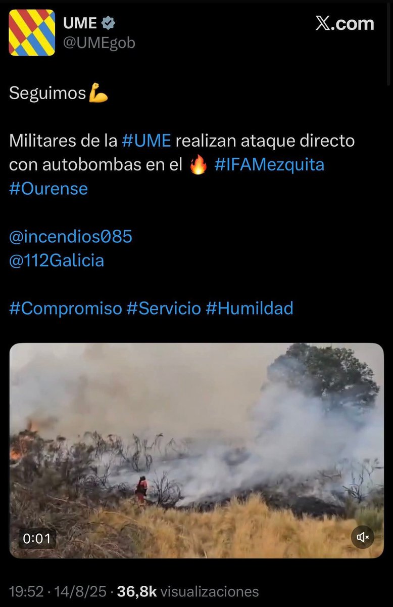 O BNG e os seus trolls estanse lucindo con esta catástrofe. Teorías conspiranoicas sobre a recalificación de renovables (puro estilo VOX), masa eucaliptal que case non existe no macizo central e atacando á UME. 

Prevención, recursos e ordenación territorial. O resto é trumpismo.