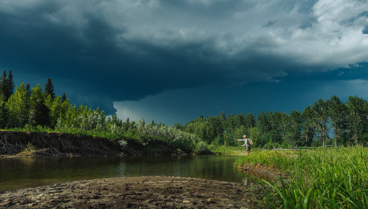 Keep Fish Wet tweet media