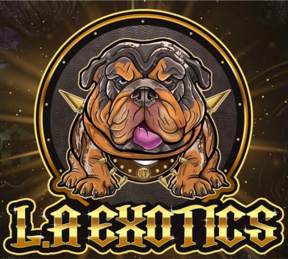 CooperHamaya's tweet photo. Hey! Does anyone need graphical stuff for Twitch and YouTubers? #streamer
@BlazedRTs
@SupStreamers
@promo_streams
@StreamersR
@Quickest_Rts
@GamingRTweeters
@ArtistRTweeters
@Retweelgend
@wwwanpaus
@rtArtBoost
@WillGames215_ https://t.co/j8BwDUjyRj