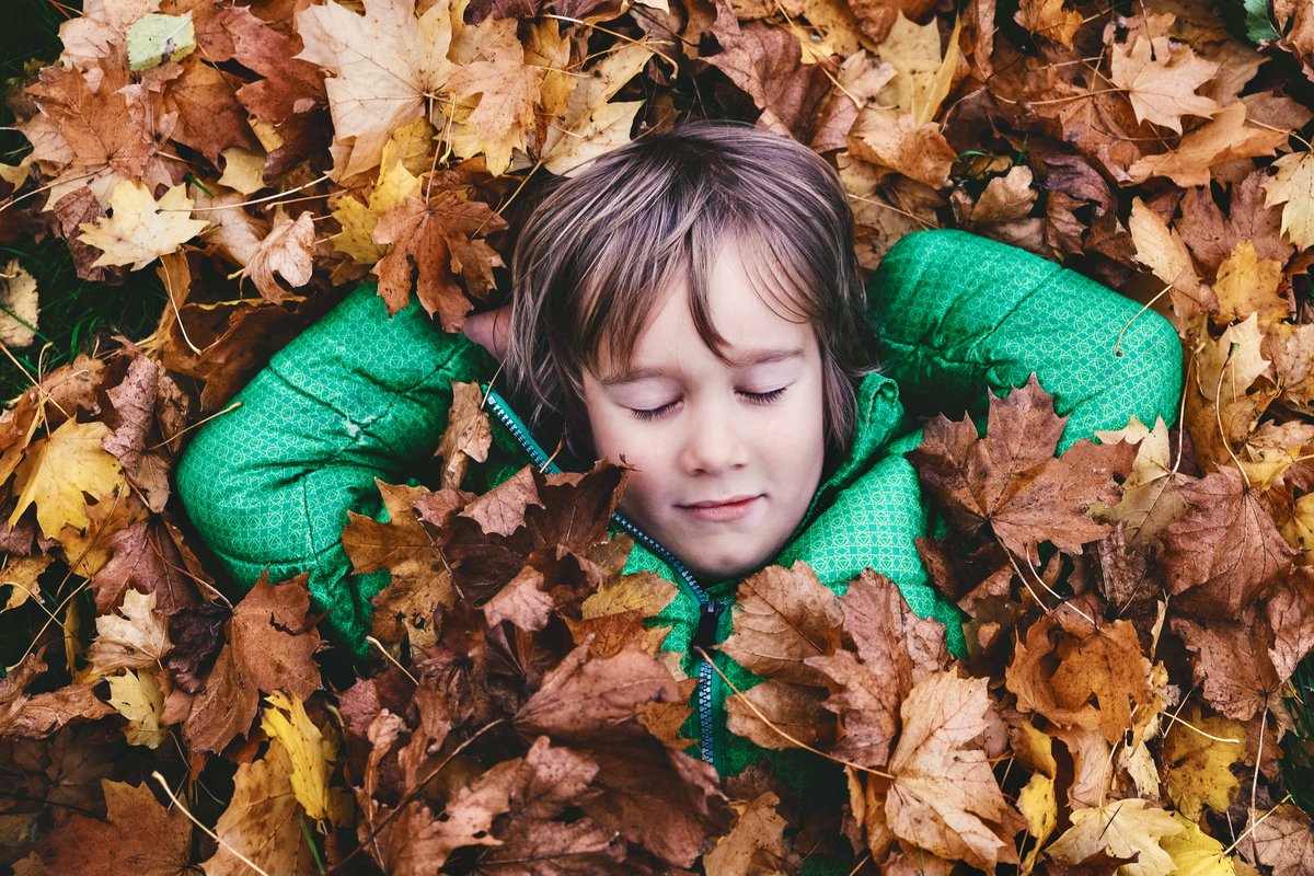 Much ado about fall...including these children and youth fall programs! 🍂 🧸 👧 👦🏻 Check them out and sign up today at kerrisdalecc.com/wp-content/upl…:
• Parent and Tot Gym 
• Kerrisdale Pre-teen Group
• STEAM 4 KIDS: Science for Kids
• Game Ready Fast &amp; Fit