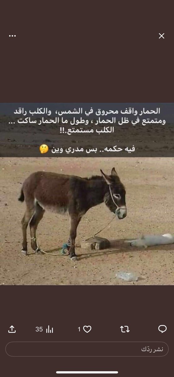 شبل عنزة 🇰🇼 Z . Kh . Althaidy 🇰🇼 (@zenad60) on Twitter photo 