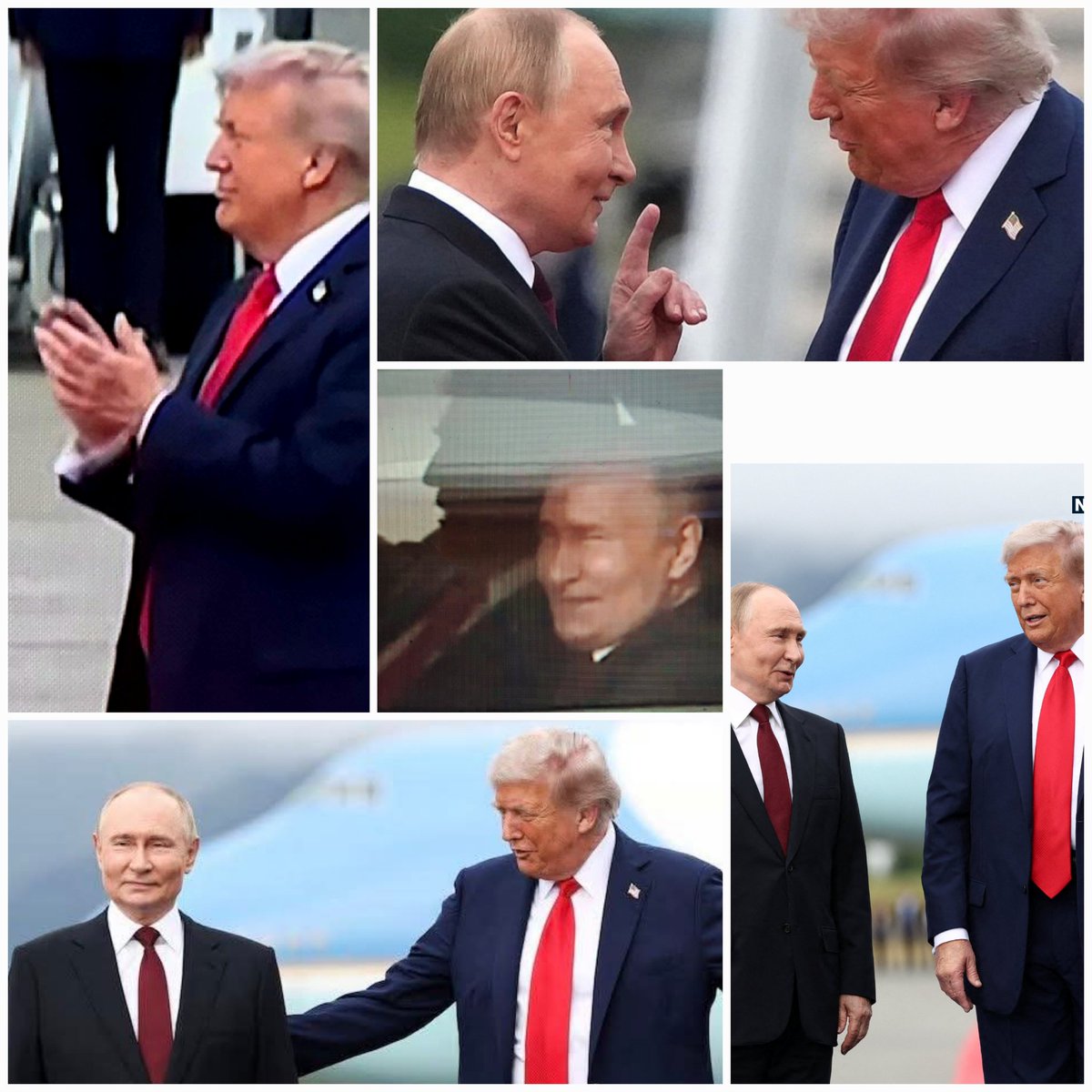 DariaDomaradzkaGuzik tweet media