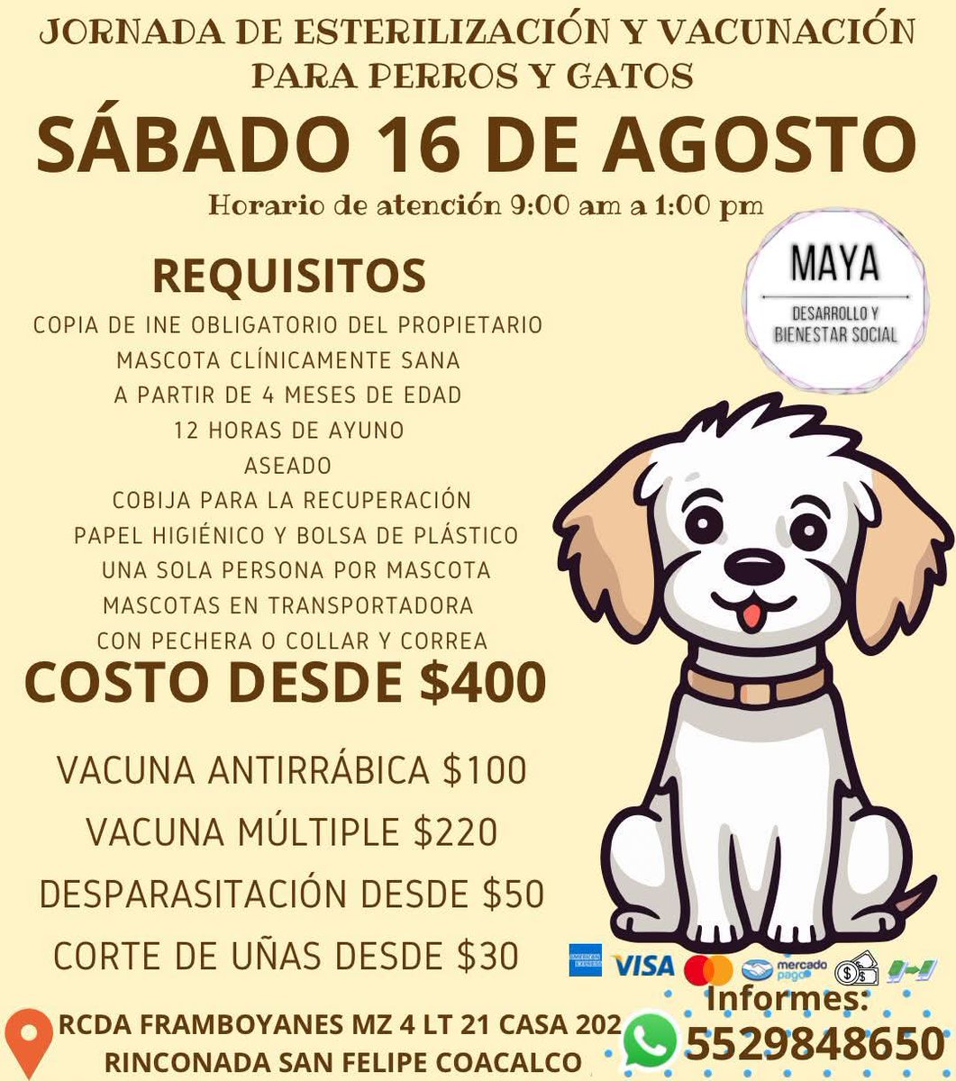 ¡Atención #Coacalco!

Mañana 16 de agosto hay campaña de esterilización de bajo costo a partir de las 9:00 horas. También habrá servicios de vacunación y desparasitación. ¡Haz tu cita!

Ubicación y requisitos en el cartelito 👇🏻