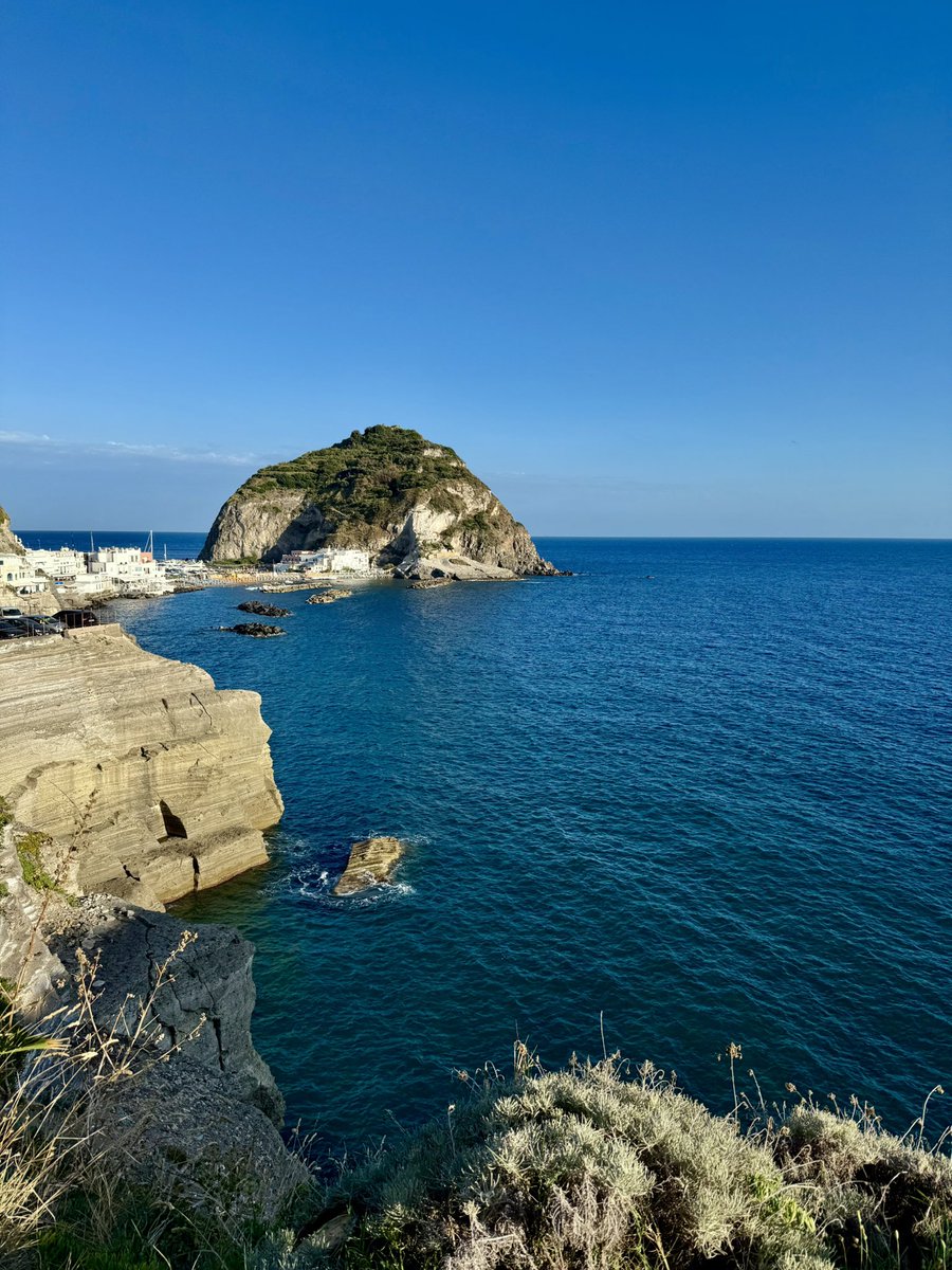 snwlprd.eth (@snwlprdwntsfrz) on Twitter photo 