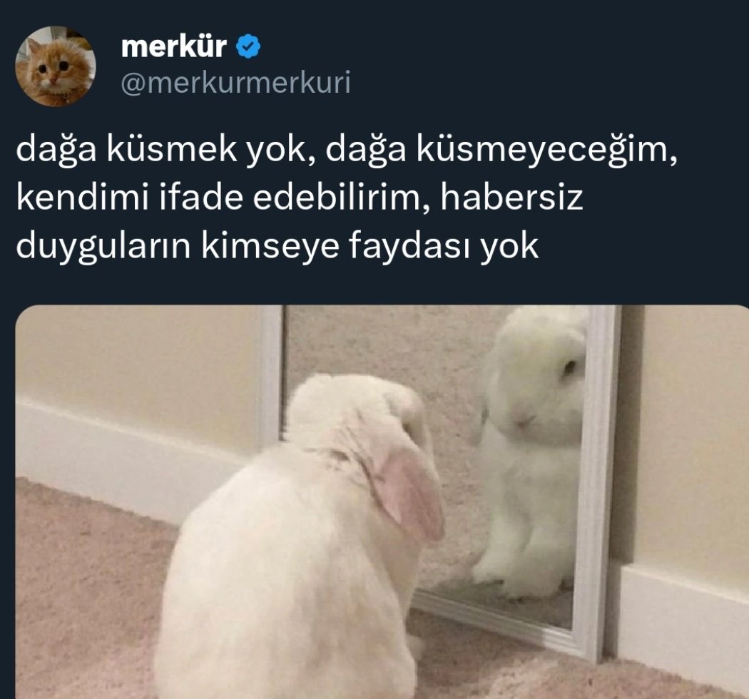 ANLIK (@anlikmod) on Twitter photo 