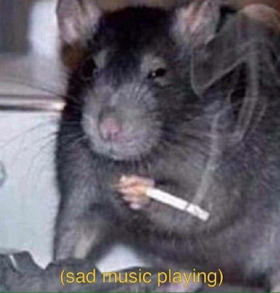 كسرت حنك كييزا في آخر لحظة