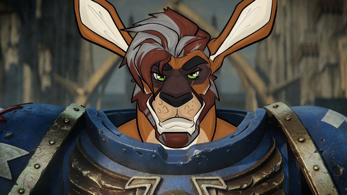 Mackaroo tweet media