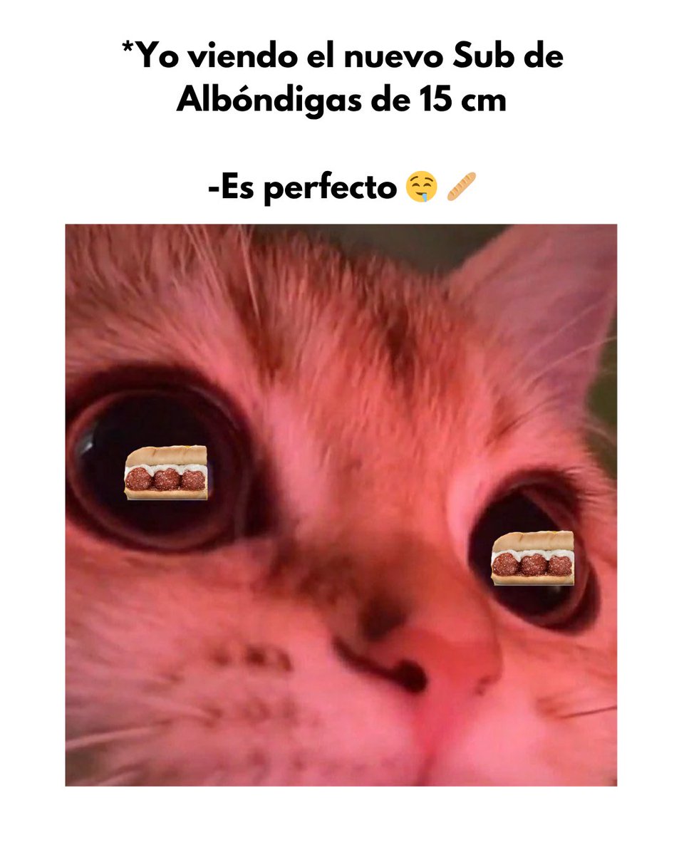 ¡No hay más que decir! 😍 
 #Sub #Sublovers #SubwayMéxico
