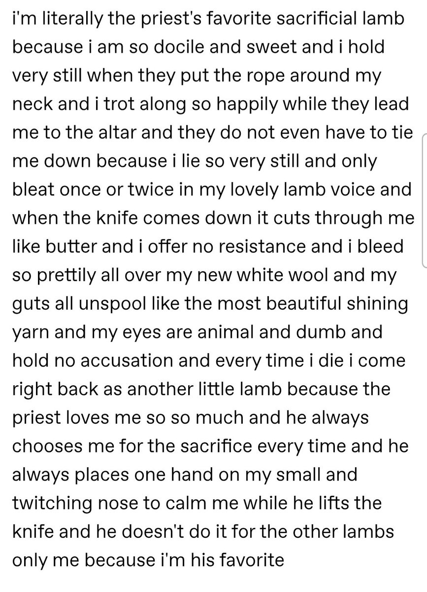 stillness tweet media