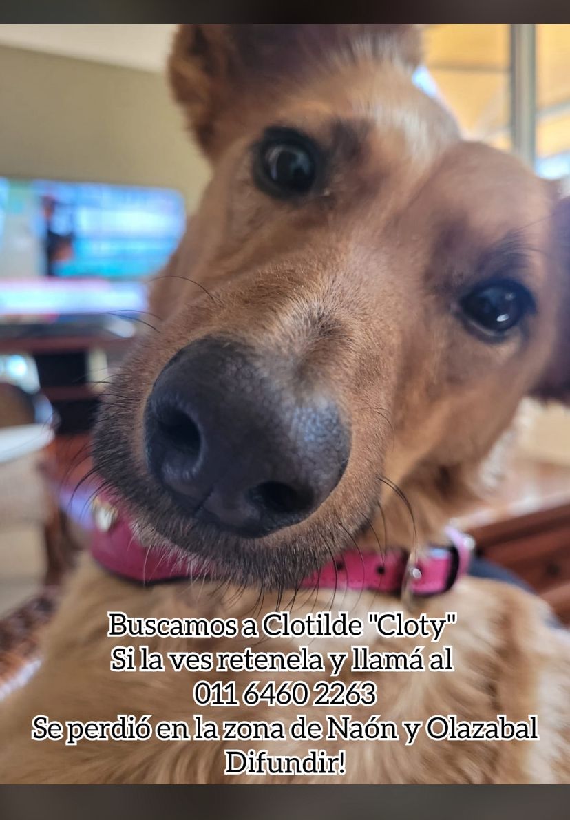 👏👏👏👏REENCUENTRO!!! YA ESTÁ CON SU FAMILIA!!!
GRACIAS POR RT!!!