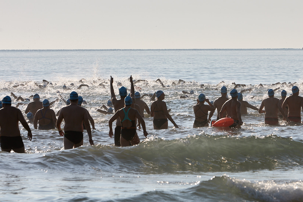 Ajuntament de Gandia tweet media