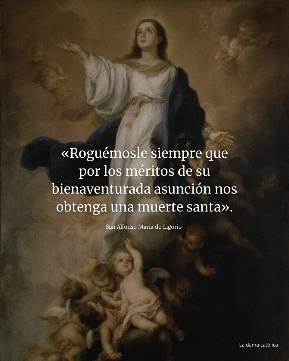 DamaCatolica's tweet photo. https://t.co/TVsywpZaDu