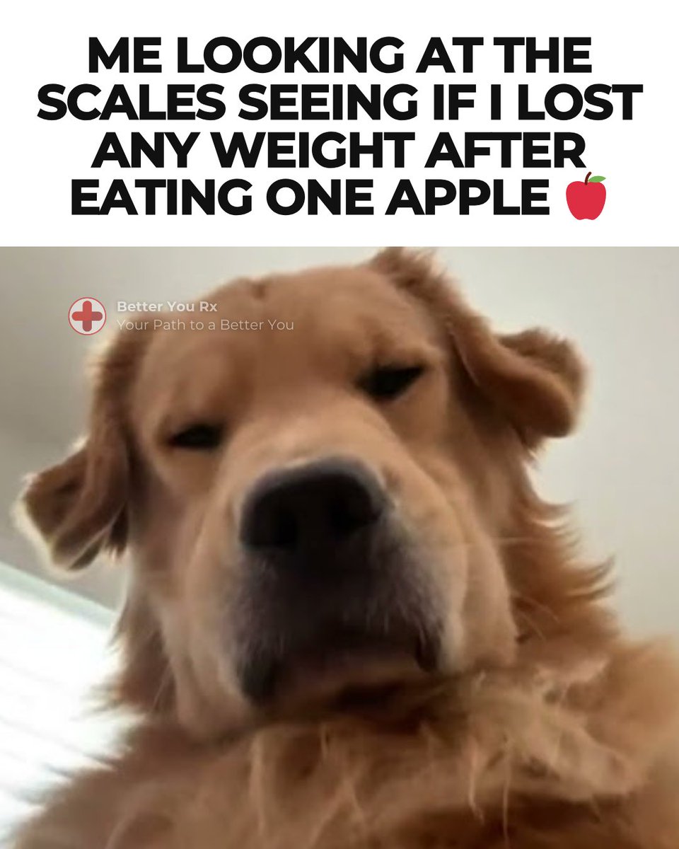 betteryourxx's tweet photo. ๐ Thought eating ONE apple would instantly make me drop 10 lbsโฆ the scale said otherwise. ๐ Consistency > quick fixes! #BetterYouRx #WeightLossHumor #FitnessJourney #HealthyLiving #RelatableMemes #Ozempic #OzempicJourney #Wegovy #Mounjaro #MounjaroMotivation #Rybelsus #fyp https://t.co/8001jQwIwq