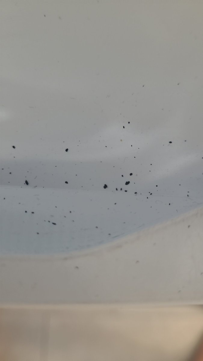 Aus den Abluftschlitzen unseres Wäschetrockners kommen neuerdings schwarze Krümelchen, wie Ruß.

Wir hatten ihn sogar schon offen und ausgesaugt innen, nichts hilft.

Ich finde das gar nicht mal so hübsch 😭.