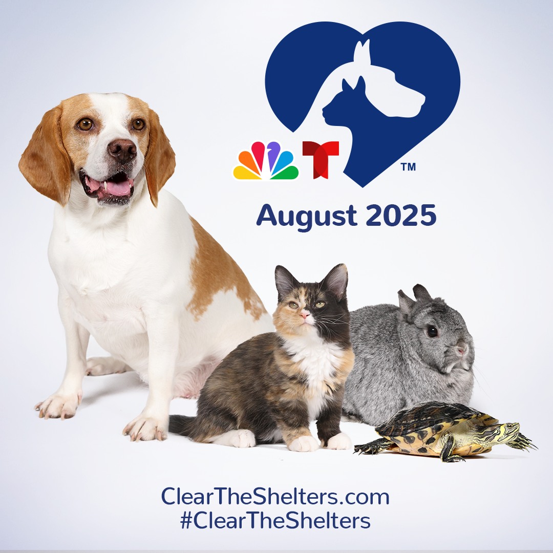 Clear The Shelters is back! 🐾

All adult cats and large, adult dogs are fee-waived to adopt the ENTIRE month of August.

Come adopt your new best friend! 

Learn more + search adoptable pets: bit.ly/44PLRgA

#cleartheshelters