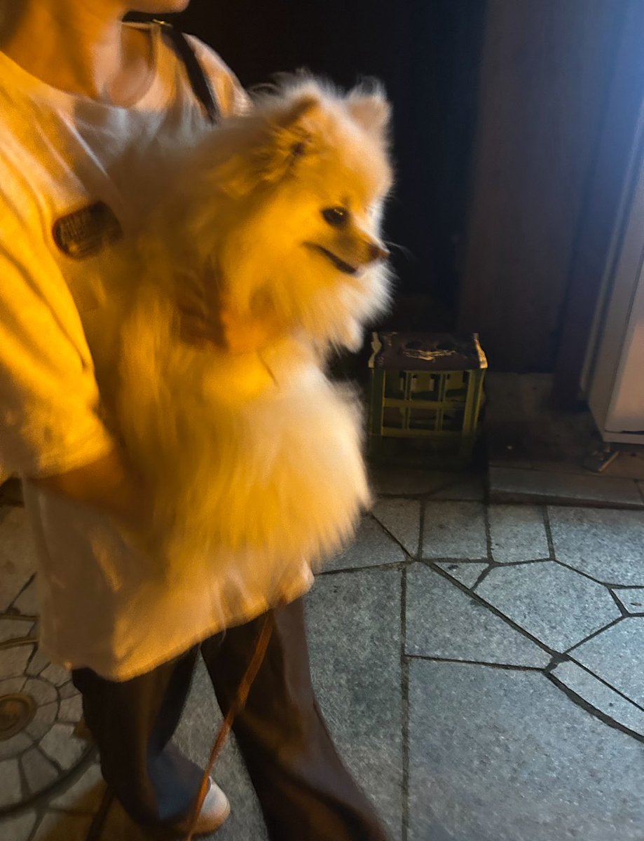 愛犬と彼女がかわいいすぎる