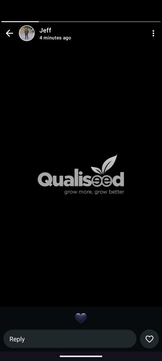 Qualiseed 🍅 🧅 🫑 🌽 🌾 tweet media